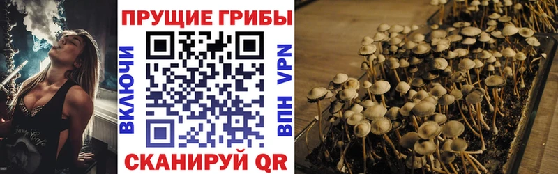 что такое   darknet как зайти  Галлюциногенные грибы Psilocybine cubensis  Гаврилов-Ям 